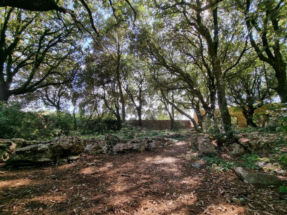 Agriturismo Iazzo Scagno Martina Franca Dış mekan fotoğraf