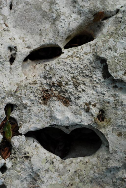 Agriturismo Iazzo Scagno Martina Franca Dış mekan fotoğraf