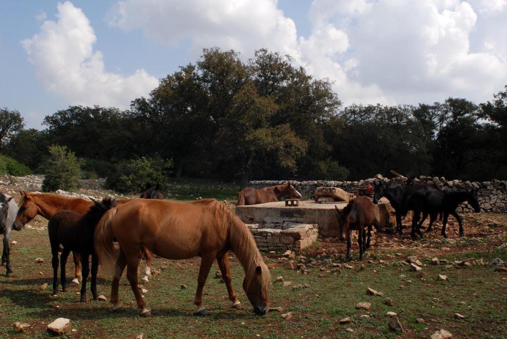 Agriturismo Iazzo Scagno Martina Franca Dış mekan fotoğraf