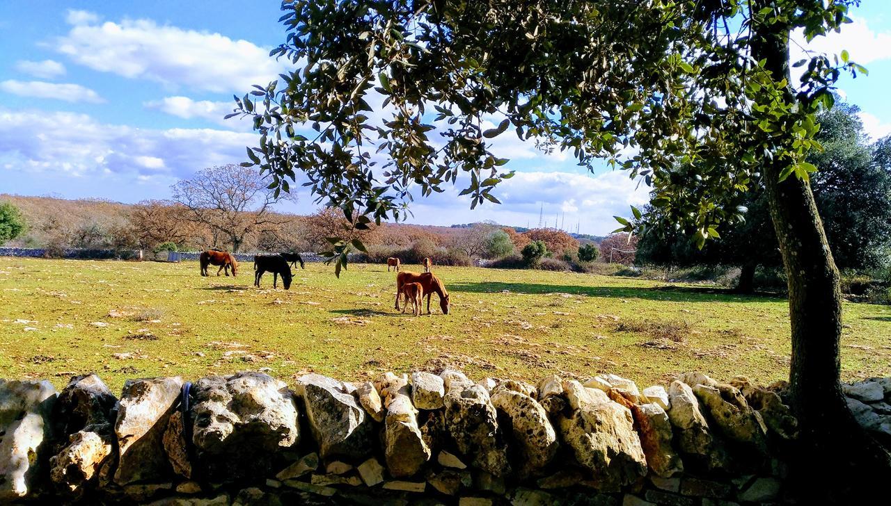 Agriturismo Iazzo Scagno Martina Franca Dış mekan fotoğraf