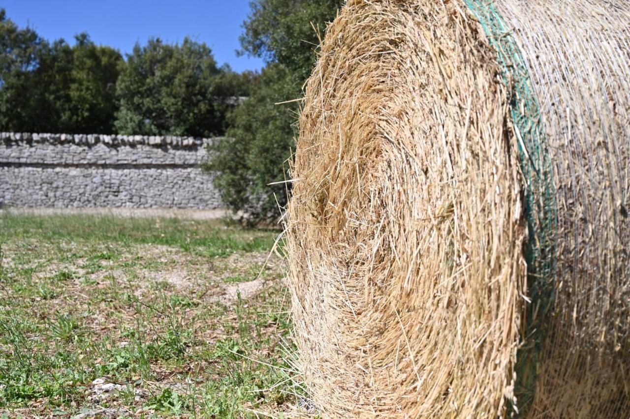 Agriturismo Iazzo Scagno Martina Franca Dış mekan fotoğraf